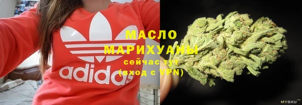 ешки Дмитриев