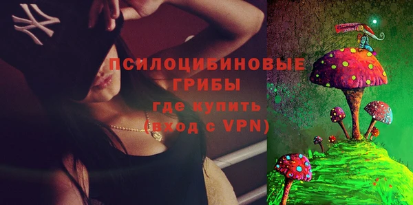ешки Дмитриев