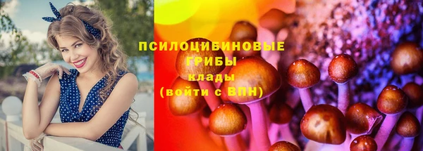 герыч Дмитровск