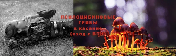 прущая мука Дмитров